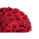 Box of red roses